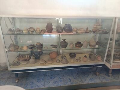 The Prehistoric Museum