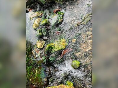 Bohin Saline Onsen and Mud Spa