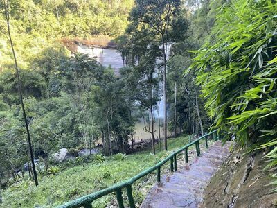 Phu Chong Na Yoi National Park