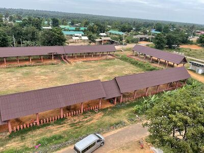 Surin Elephant Museum