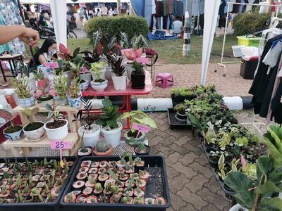 KKU flea market