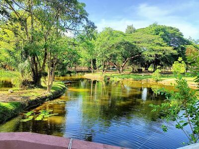 Cha-am Forest Park
