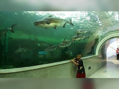 Nong Yat Freshwater Aquarium