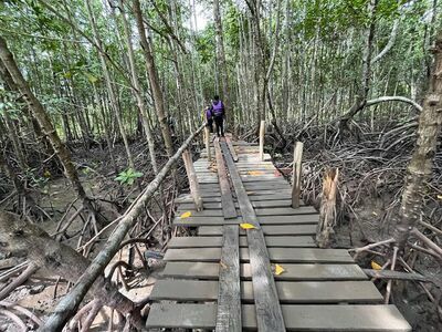 Bohin Saline Onsen and Mud Spa