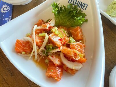 Oshine Surin