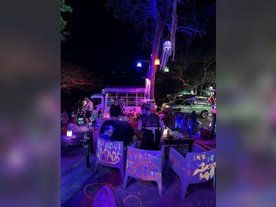 Gecko Bar