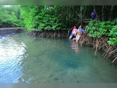 Bohin Saline Onsen and Mud Spa
