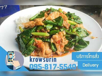 Krow Surin