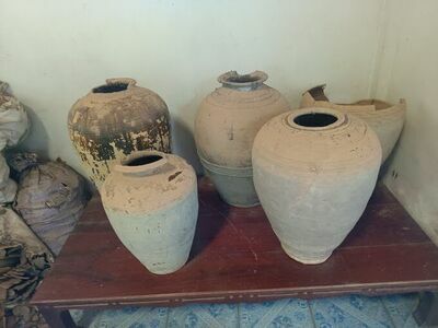 The Prehistoric Museum