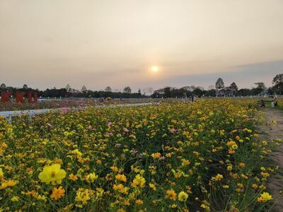 Khon Kaen University Agricultural Technology Park