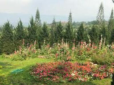 Phu Ruea Highland Winery, Loei, Thailand