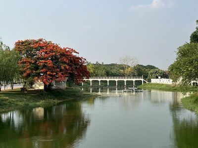 Nong Bua Public Park