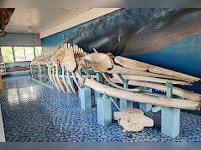 Sea Life Aquarium in Phetchaburi