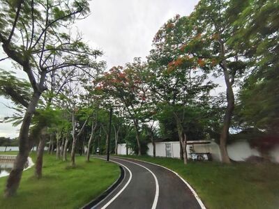 Phumirak Park