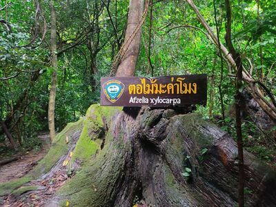 Phu Phalom Forest Park