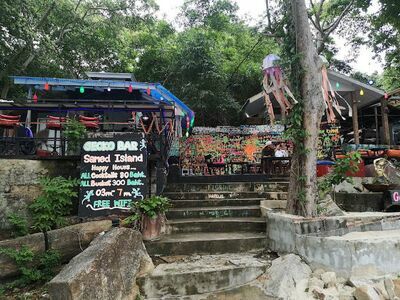 Gecko Bar