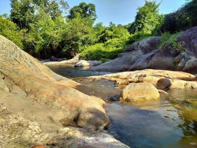 The Royal Thai Natural History Park under the Royal Initiative of Her Royal Highness Princess Maha Chakri Sirindhorn
