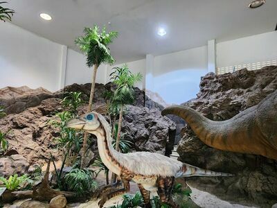 Phu Wiang Dinosaur Museum