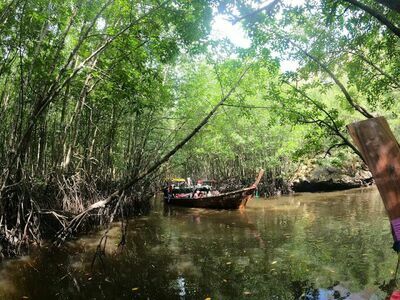 360° Khao Jam Pa, Ban Nam Rab, Trang