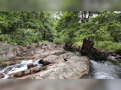 Chaloem Phra Kiat Thai Prachan National Park