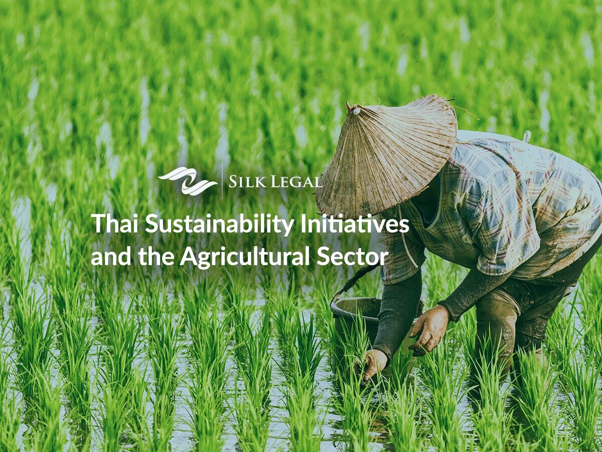 Eco-Friendly Farming Initiative in Thailand Aims to Revitalize Forests ...