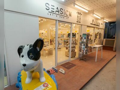 Seaseek Flagship Store