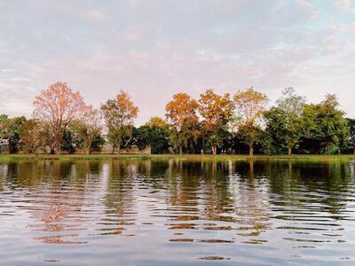 Somdej Ya Park, 1988