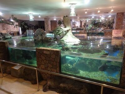 Nong Khai Aquarium