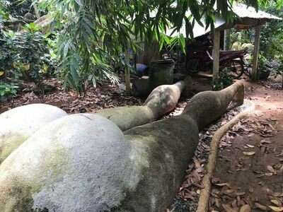Somchai's Love Garden