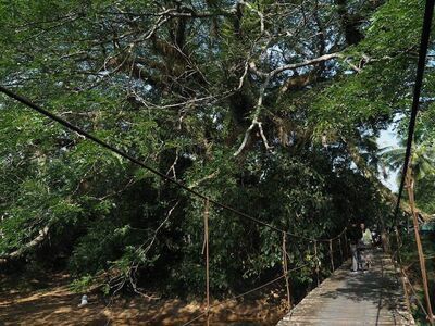 Saphan Sai Wat Derm