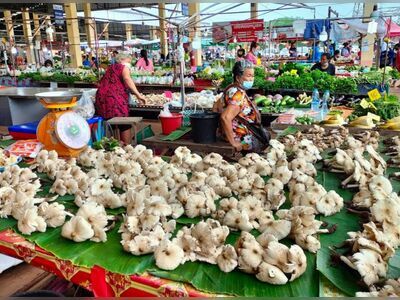 Sakon Nakhon Municipality Fresh Market (Bypass Market)