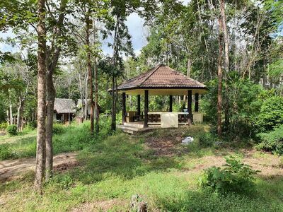 Doi Soi Malai National Park - Petrified Wood