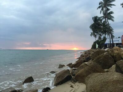 The Cosy Koh Phangan