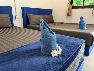 The Cosy Koh Phangan
