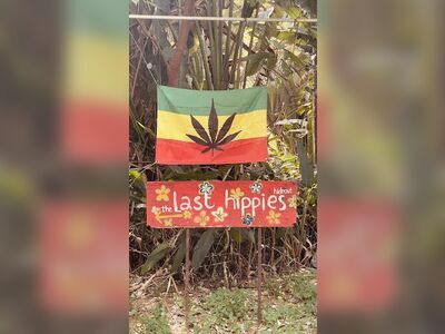 Monkey Cannabis Shop