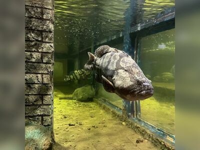 Nong Khai Aquarium