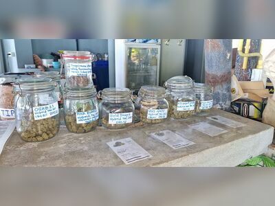 Monkey Cannabis Shop