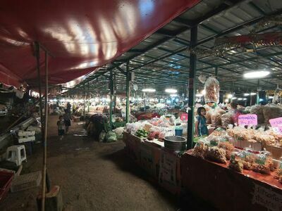 Muser 2 Market