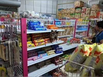 Nine Shop Koh Kood