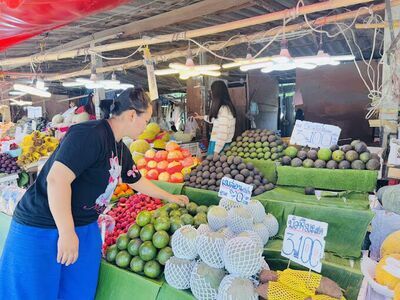 Muser 2 Market