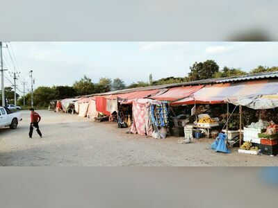 Muser 2 Market