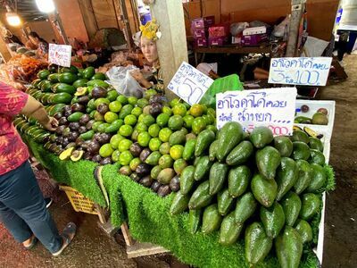 Muser 2 Market