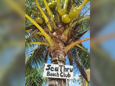 Sea Thru Beach Club