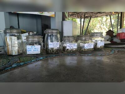 Monkey Cannabis Shop