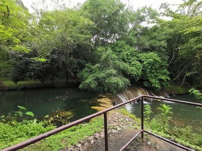 Kapo Waterfall Forest Park