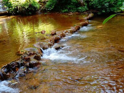 Namtok Pha Charoen National Park