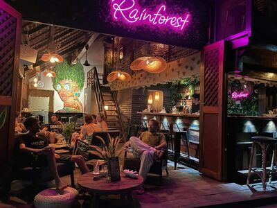 Rainforest Bar