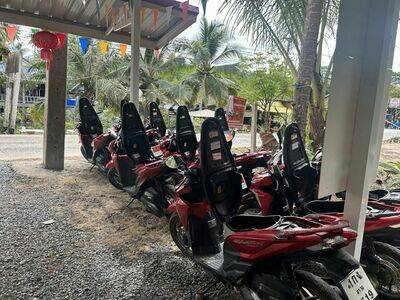 Motorbike forrent kohkood (kiw)