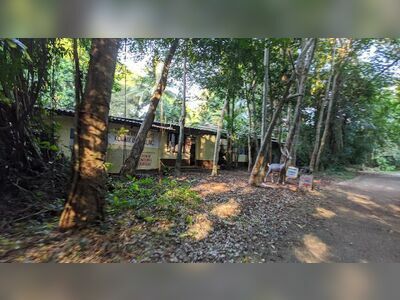 Koh Mak Animal Clinic