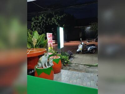 Woranya Health Massage